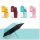 Sun Folding Umbrella 